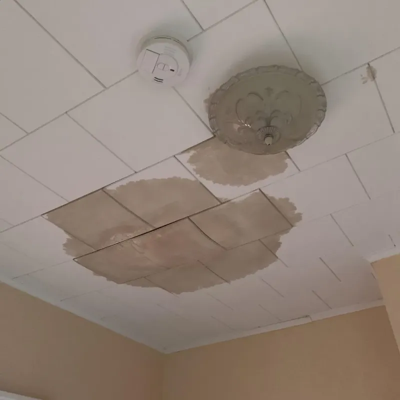 Ceiling Water Damage Repair in Wilsons Mills, NC