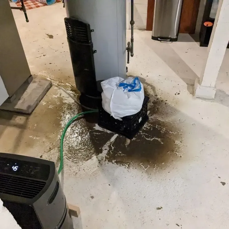Sewage Backup Cleanup Service in Wilsons Mills, NC